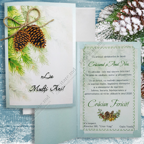 Felicitare cod  AN2019_13 v2