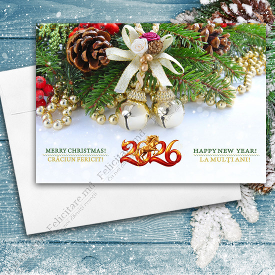 Felicitare cod  AN2023_05