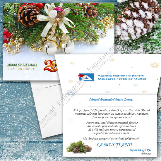 Felicitare cod  AN2023_05 v2