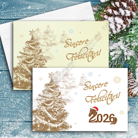 Felicitare cod  AN2023_05.2