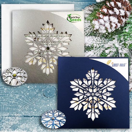 Felicitare cod  AN2024_6