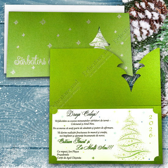 Felicitare cod  AN2024_7 v2