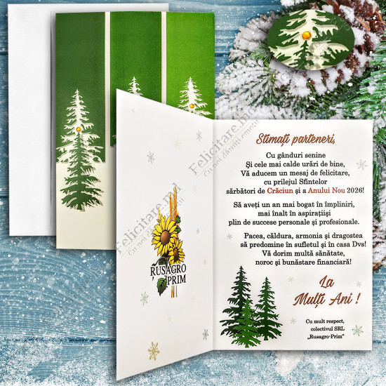 Felicitare cod  AN2025_3 v2