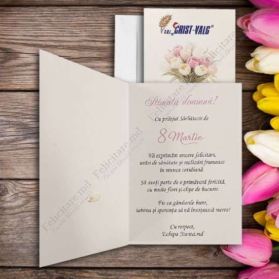 Felicitare cod  8M003_2 v2