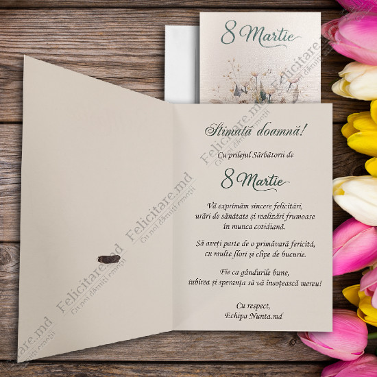 Felicitare cod  8M003_6 v2